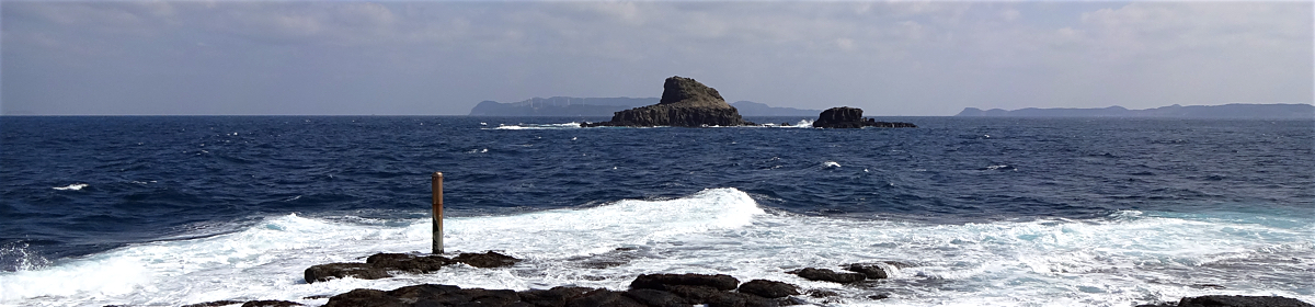 ねこまたぎ漁業組合